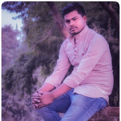 Aryan Raj, 27 лет, Patna