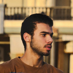 Hossam El-Attar, 28 лет, Ras El Bar