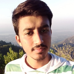 Umair Inayat, 25 лет, Islamabad