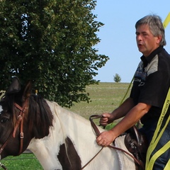 Michael Böhm, 59 лет, Dresden