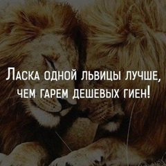 Александр Кашицын, 46 лет, Санкт-Петербург