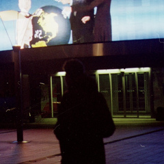 Xander Schepens, 27 лет, Bruxelles