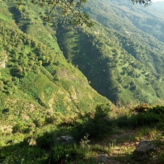 Салим Жижель, Jijel