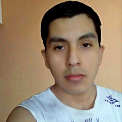 José-Luis Estrada-Taipe, 32 года, Lima