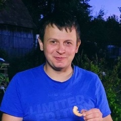 Илья Поздняков, 31 год, Воронеж