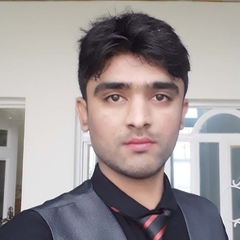 Zahid Ali, 26 лет, Faisalabad