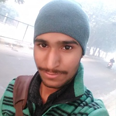 Sourav Sharma, 28 лет, Ludhiana