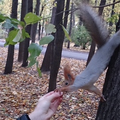 Иришка Скултан, 36 лет, Москва