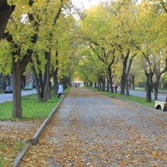 Виктор Колотыгин, Екатеринбург