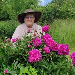 Елена Бобровская, 73 года, Каменец-Подольский