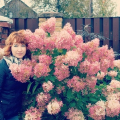 Ольга Юркевич, Санкт-Петербург