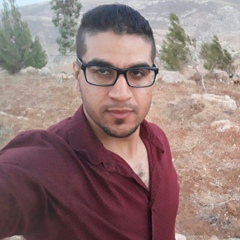 Khattab Salawdeh, 31 год, Nablus