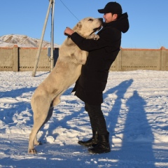 Munkhbuyan Khurelbaatar, 31 год, Ulaanbaatar