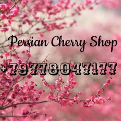 Persian Cherry, İstanbul