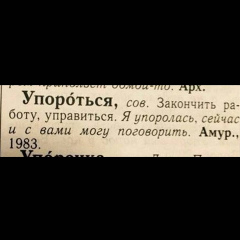 Александр Деревянко, 43 года, Краснодар