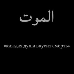 Ризван Дайтабеков, Ростов-на-Дону