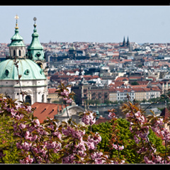 Art-In Prague, 36 лет