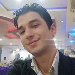 احمد فخمه, 41 год, Giza