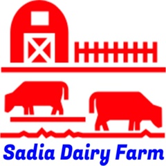 Sadia-Dairy Cow-Farm, 36 лет, Dhaka