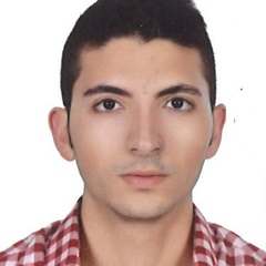 Hussein Farhat, 32 года