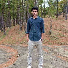 Asad Ali, 26 лет, Islamabad