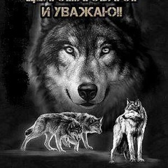 Андрей Колокайло, 43 года, Новогригорьевка