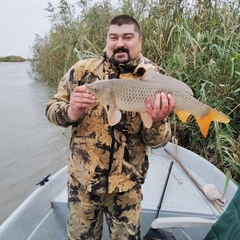 Сергей Коньков, 33 года, Москва