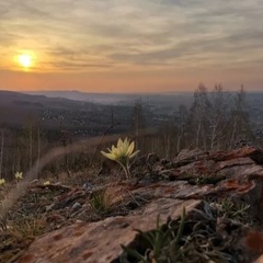 Алиса Сосновская, Красноярск