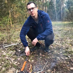 Дмитрий Невойт, Гомель