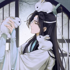 Lan Wangji, 25 лет