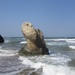 Попова Елена, Архангельск