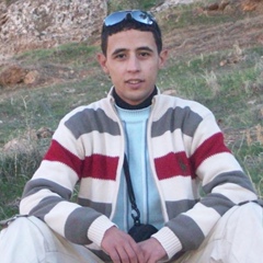 Hakim Chellali, 36 лет, Tiaret