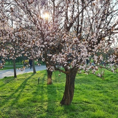 Ольга Коростылева, 42 года, Санкт-Петербург