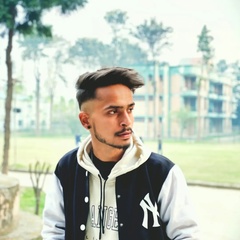 Vishal Verma, 21 год, Chandigarh