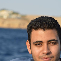 Khaled Ali, 35 лет, Cairo