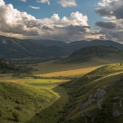 Ольга Николаевна