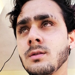 Vikash Sharma, 24 года, Shimla