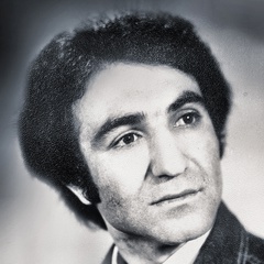 Timur Mamedov, Краснодар