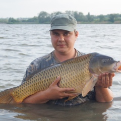 Александр Шелепун, 37 лет, Одесса