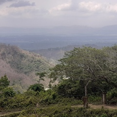 Nyi Nyithant, 44 года, Sittwe (Akyab)