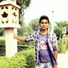 Mohit Singh, 31 год, Lucknow