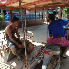 Kom Chan, 35 лет, Mawlamyine