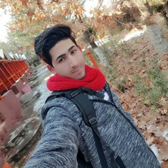 Imran Amirzada, 33 года, Kabul