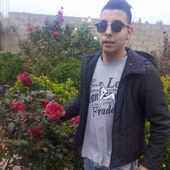 Ali Khanous, 27 лет, Skikda