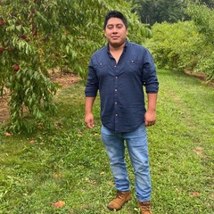 Oscar Gomez, 30 лет, Chiapas