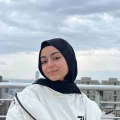 Amira Alaa, 26 лет, Cairo