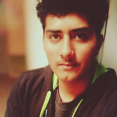 Zeeshan Niazi, 25 лет, Faisalabad