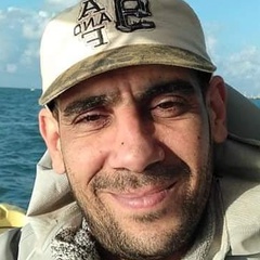 Hassan Elbarseagy, 43 года, Alexandria