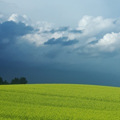 Виктор Тенишев, Барнаул