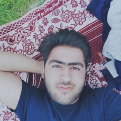 Javad Tinatpak, 23 года, Shiraz